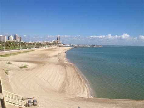 16 best images about Corpus Christi on Pinterest | Sea shells, Corpus christi texas and Bays