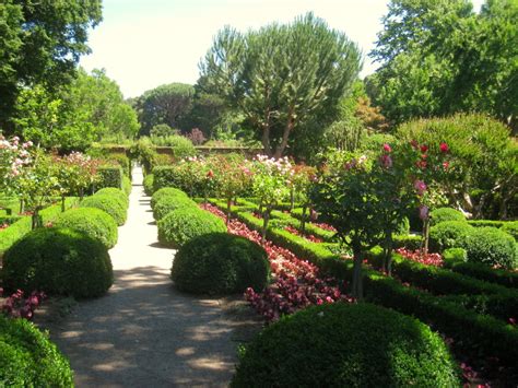 Filoli gardens - IMG_9309