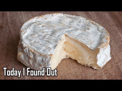 Is the Rind on Brie Edible? - StuffSure