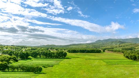 内蒙古夏季田野景观高清摄影大图-千库网