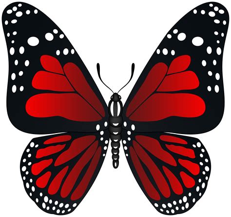 Red Butterfly Transparent PNG Image in 2023 | Red butterfly, Butterfly ...