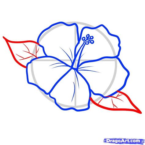 hibiscus pattern to draw | How To Draw A Hawaiian Tattoo Step By Tattoos | Hawaiian flower ...