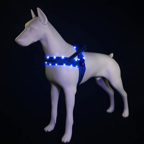 MASBRILL Light Up Dog Harness, Reflective Led Dog Harness Glow-in-The ...