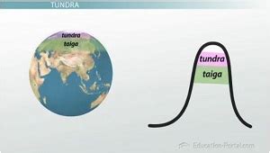 Biome Overview & Classifications - Lesson | Study.com