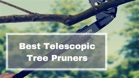 Best Telescopic Long Reach Tree Pruner Reviews UK | Buying Guide