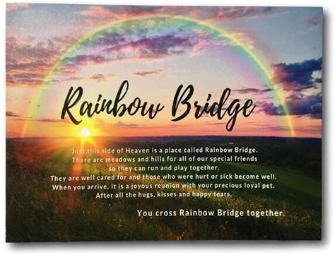 Rainbow Bridge - REBORN ANIMAL REFUGE