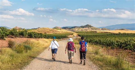 Camino Portugues Route | Portuguese Way | Follow the Camino