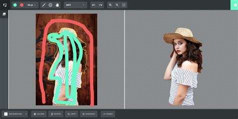 Top 5 Best Background Removal Tools for 2020 - EasyBlog Themes