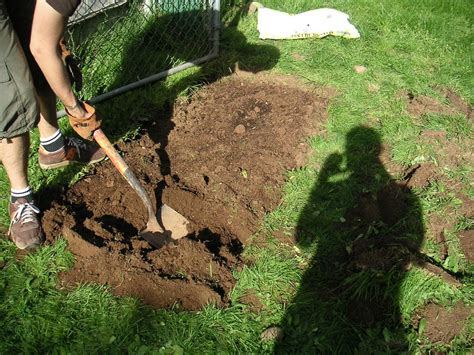 Hand Tilling Soil - The Double Digging Technique | Garden soil, Garden tools, Best garden tools