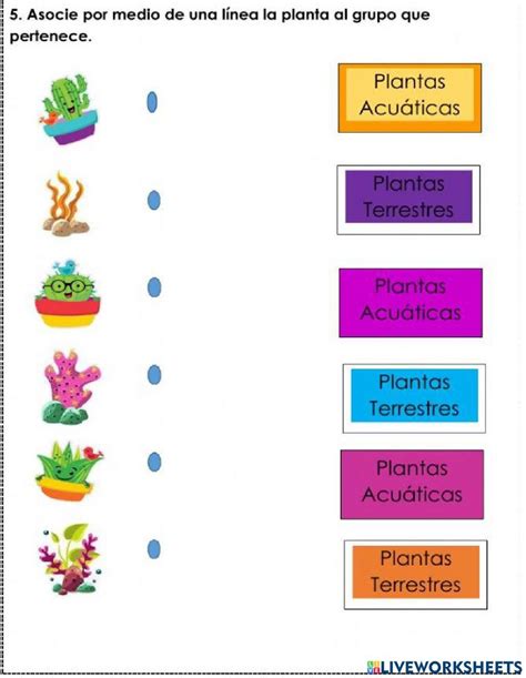 the words in spanish are arranged to spell out plants