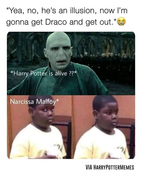 Harry Potter Memes For Fans Of The Books And The Movies in 2023 | Harry ...