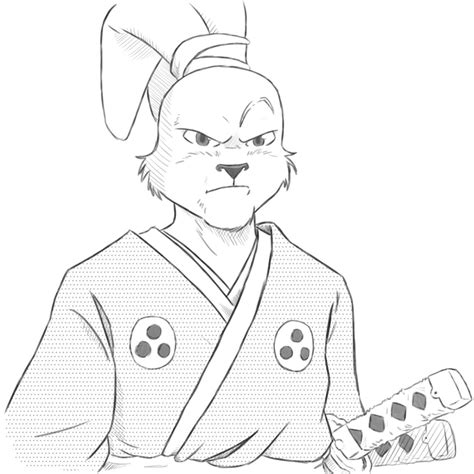 Pencilsmith Artwork | Usagi yojimbo, Teenage mutant ninja turtles ...