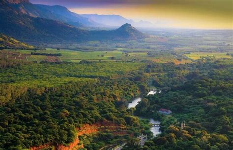 6 Gorgeous Trails For Trekking In Munnar