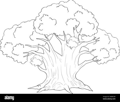 Black and white line drawing of a large tree Stock Vector Image & Art ...