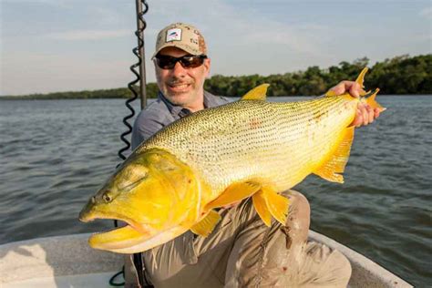 upper parana river | Set Fly Fishing