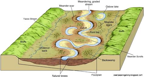 River Valley Diagram | Wallpapers Gallery