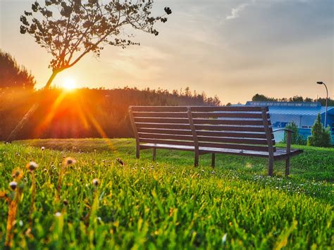 Brown Bench on Green Grass · Free Stock Photo