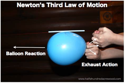 Newton's Laws of Motion… Simplified - Half a Hundred Acre Wood