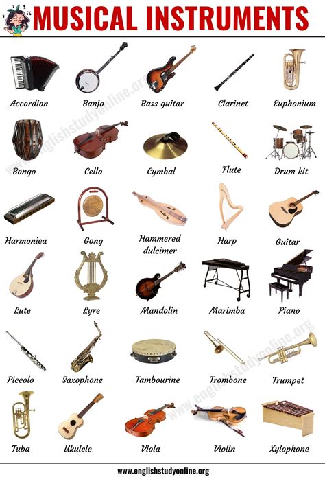 Musical Instruments: List of 30 Popular Types of Instruments in English ...