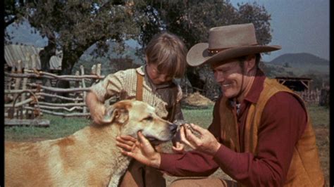 Kevin Corcoran as Arliss Coates and Chuck Connors as Burn Sanderson in Old Yeller - Old Yeller ...