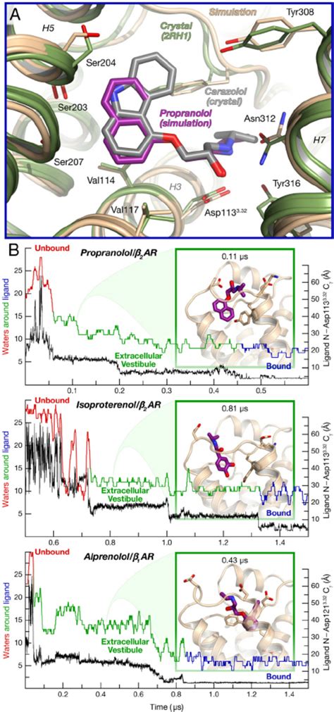 Other drug – receptor pairs follow the same binding pathway. ( A ...