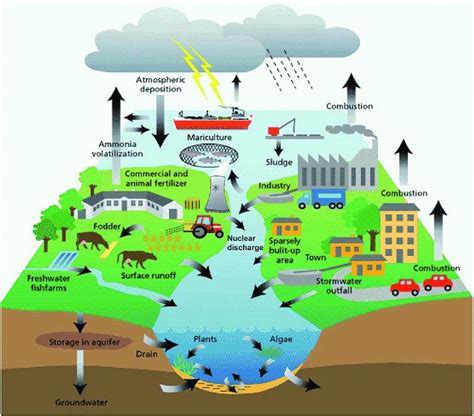 Sources of groundwater contamination in the hydrologic cycle. 4... | Download Scientific Diagram