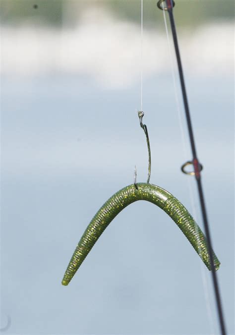 When do you like to fish a wacky rigged plastic worm? | Outdoor Board