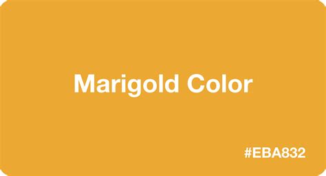 Marigold Color: Best Practices, Color Codes, Palettes & More!