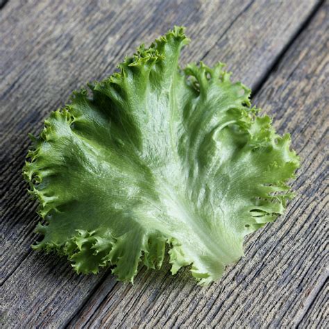 mesh - How to make photo-realistic lettuce in Blender? - Blender Stack Exchange