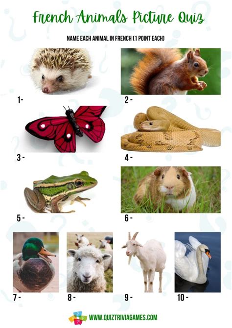 30+ French Animals Quiz Questions & Answers (inc. Picture Round) - Quiz ...