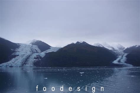 foodesign: College Fjord and Glacier Bay