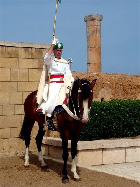 Moroccan Royal Cavalry | Royal guard, Cavalry, Royal