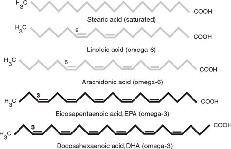 Figure 2 from Omega-3 Fatty acids: structure, function, and relation to the metabolic syndrome ...