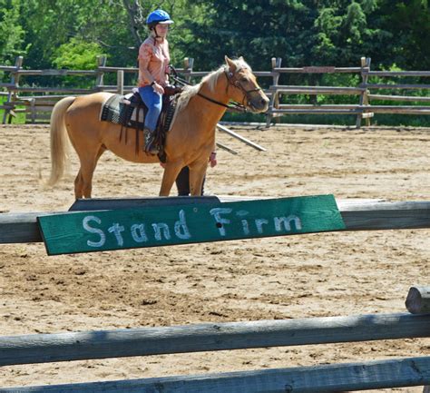 Youth therapy, rescue horses help each other thrive at Shiloh Ranch ...