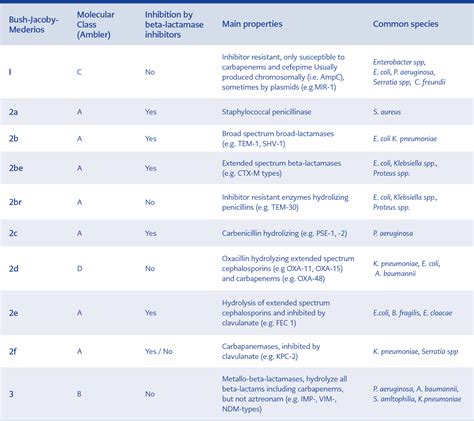 Beta Lactam Antibiotics Classification