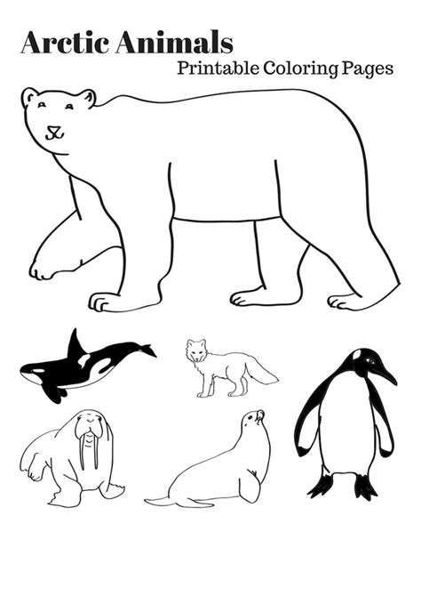 Arctic Animals Printable Coloring Pages | Arctic animals printables ...