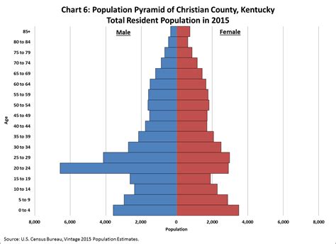 America's Age Profile Told through Population Pyramids