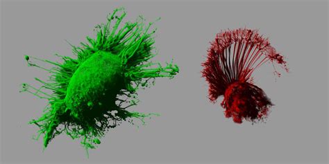 Imaging oligomerization in complex protein populations | Research ...