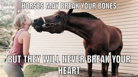 Funny Horse Pictures And Quotes - ShortQuotes.cc