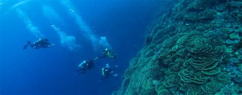 Diving Packages for Gorontalo, Sulawesi with Miguel's Diving