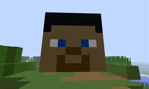 Steve! Minecraft Map