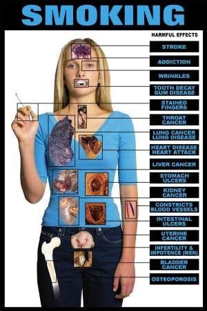 The effects of smoking on the body Quit Smoking Motivation, Help Quit ...