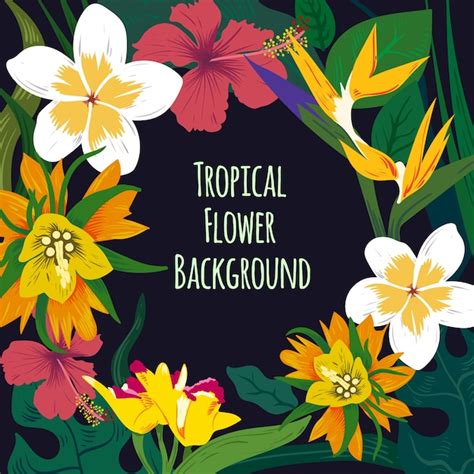 Tropical flower background Vector | Free Download