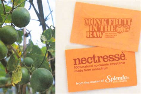 Alternative Sweetener: Monk Fruit | The Kitchn