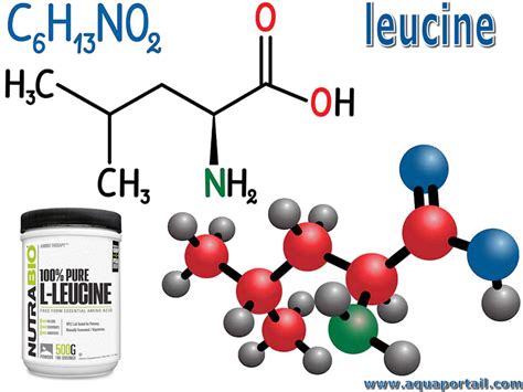 Leucine Structure