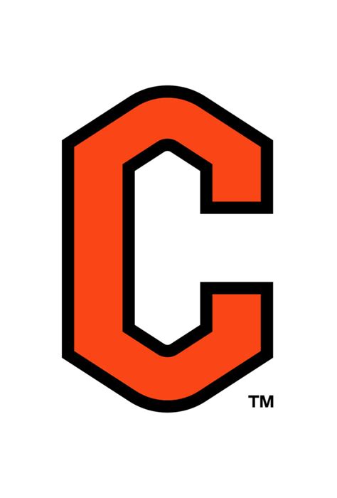 Campbell Athletics unveils new logo, brand identity - News | Campbell University