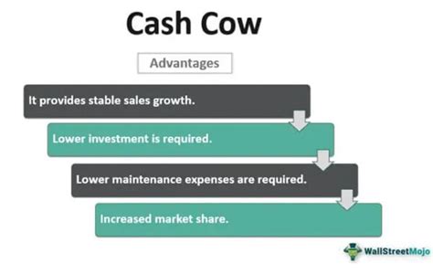 Cash Cow - Meaning, Examples, Strategy, BCG Matrix