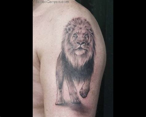 35 best Lion Paw Tattoo Drawings images on Pinterest | Lion paw, Tattoo drawings and Paw print ...