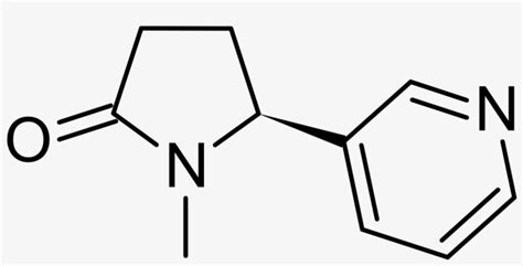 Chemical Structure Of Succinimide - Free Transparent PNG Download - PNGkey