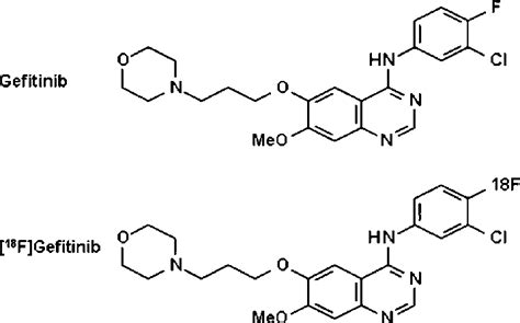 Chemical structure of gefitinib and [ 18 F]gefitinib | Download ...